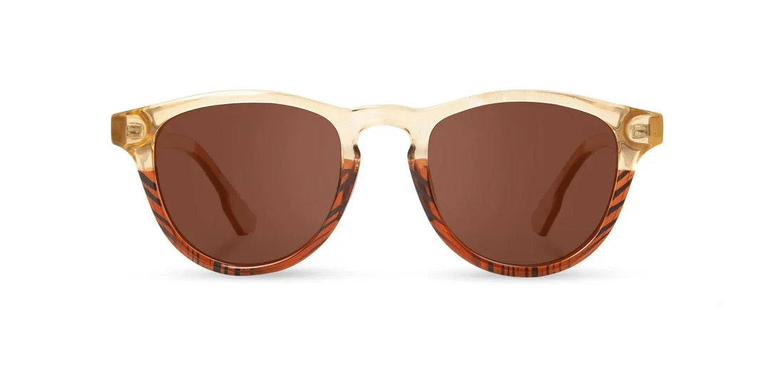 Francis ACTV Sunglasses | Canyon / Elm Burl | Brown Polarized | Shwood
